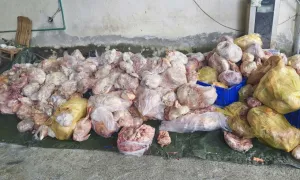 Một hộ kinh doanh ở Hà Giang trữ gần 4 tấn thực phẩm đổi màu và bốc mùi Một hộ kinh doanh ở Hà Giang trữ gần 4 tấn thực phẩm đổi màu và bốc mùi