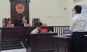 Môi giới nam nhân viên 'đi sex tour' với khách nữ