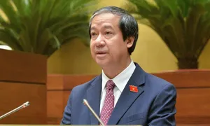 Đề xuất mở rộng diện miễn, hỗ trợ học phí với trẻ mầm non và học sinh trường tư