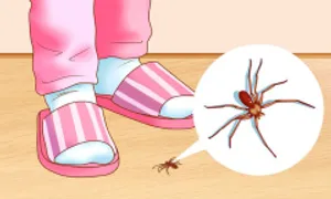 8 mẹo đuổi côn trùng an toàn trong mùa hè