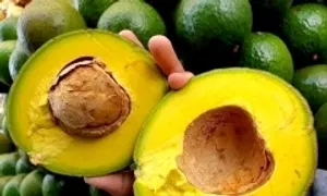 5 món có lợi cho người tiểu đường ngày nóng
